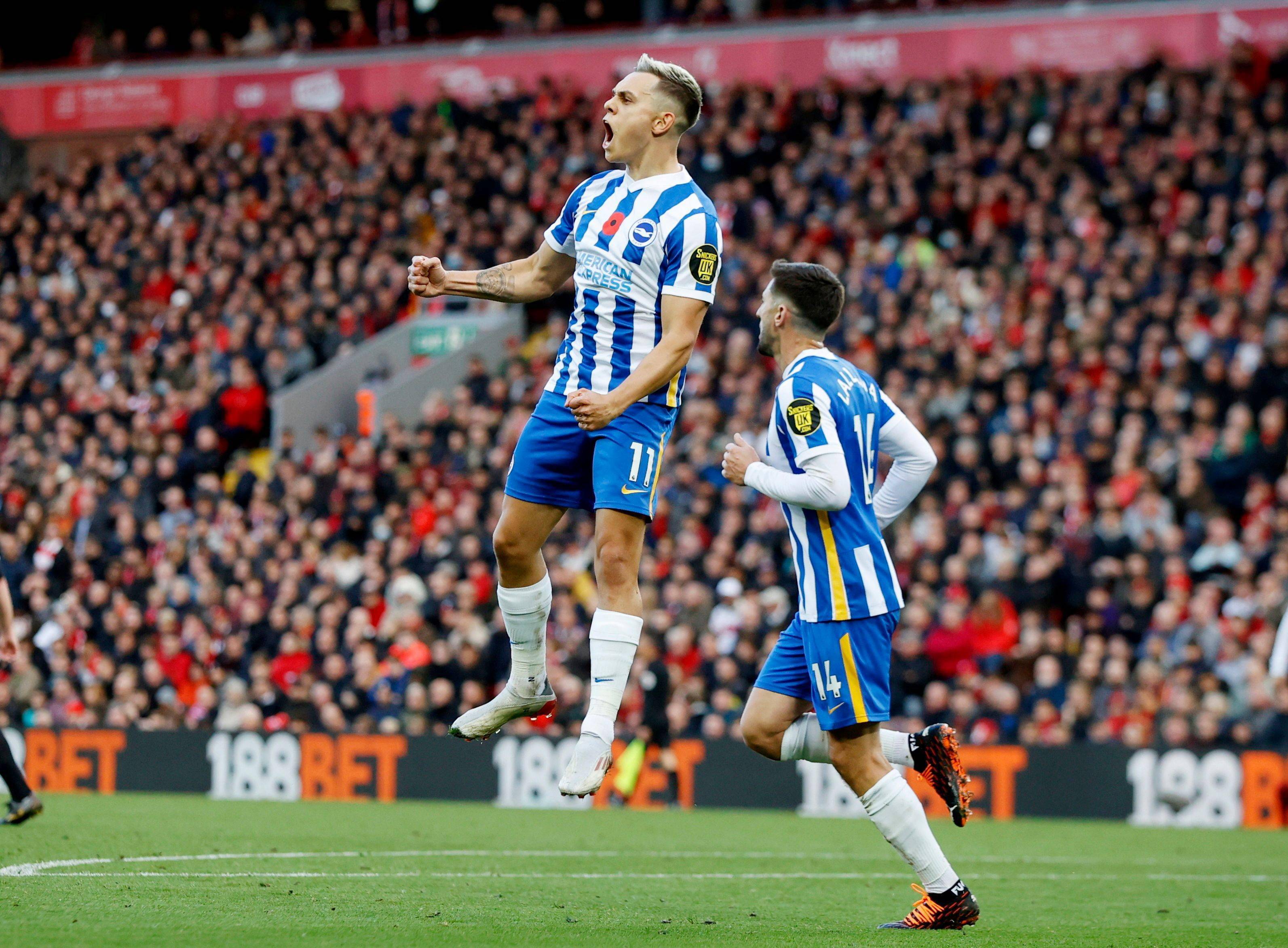 带领下轻松 带领下轻松